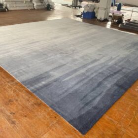 LEONA AREA RUG '25